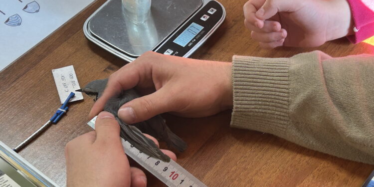 Ornitologiczna przygoda kieleckich uczniów