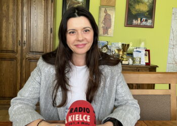 Orlik w Dwikozach przejdzie modernizację