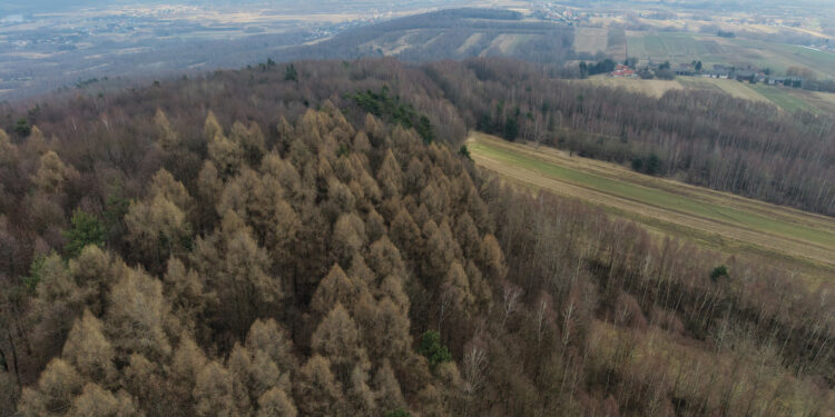 Góra to nie zabytek, a strefa ochrony to archaizm