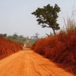 Muzyczne podróże przez świat. Benin – kolebka voodoo. Kamerun i jego leśni mieszkańcy - Radio Kielce