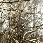 10.03.2026 Kielce. Wiosna w mieście / Fot. Jarosław Kubalski - Radio Kielce