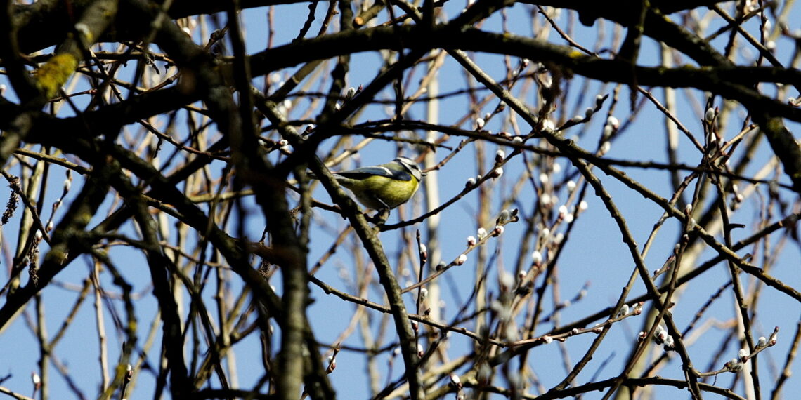 Jaka pogoda na Wielkanoc?