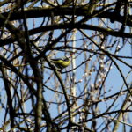 10.03.2026 Kielce. Wiosna w mieście / Fot. Jarosław Kubalski - Radio Kielce