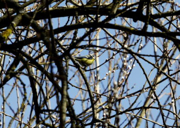 Jaka pogoda na Wielkanoc?