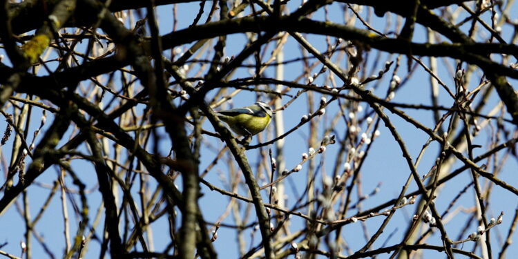 Jaka pogoda na Wielkanoc?