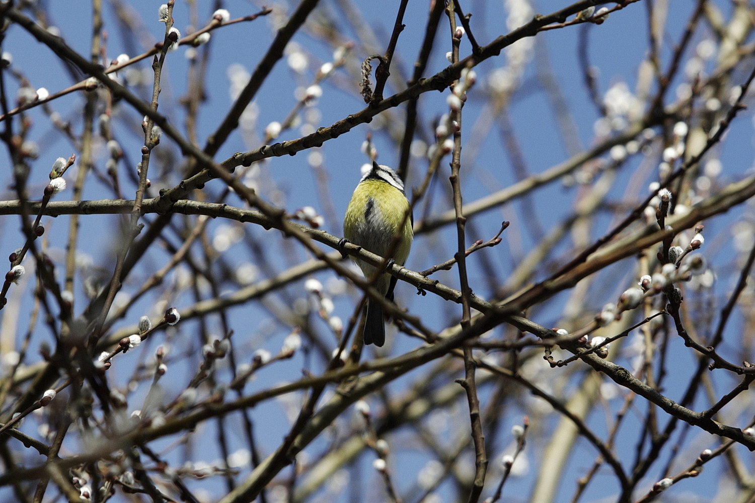 Kielce. Wiosna w mieście