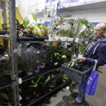 Festiwal roślin ponownie zawitał do Kielc - Radio Kielce