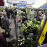 Festiwal roślin ponownie zawitał do Kielc - Radio Kielce