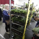 Festiwal roślin ponownie zawitał do Kielc - Radio Kielce