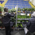 Festiwal roślin ponownie zawitał do Kielc - Radio Kielce