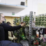 Festiwal roślin ponownie zawitał do Kielc - Radio Kielce