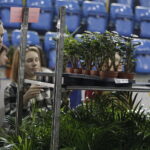 Festiwal roślin ponownie zawitał do Kielc - Radio Kielce