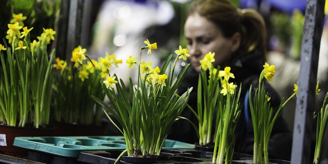 Festiwal roślin ponownie zawitał do Kielc