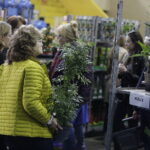 Festiwal roślin ponownie zawitał do Kielc - Radio Kielce