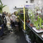 Festiwal roślin ponownie zawitał do Kielc - Radio Kielce