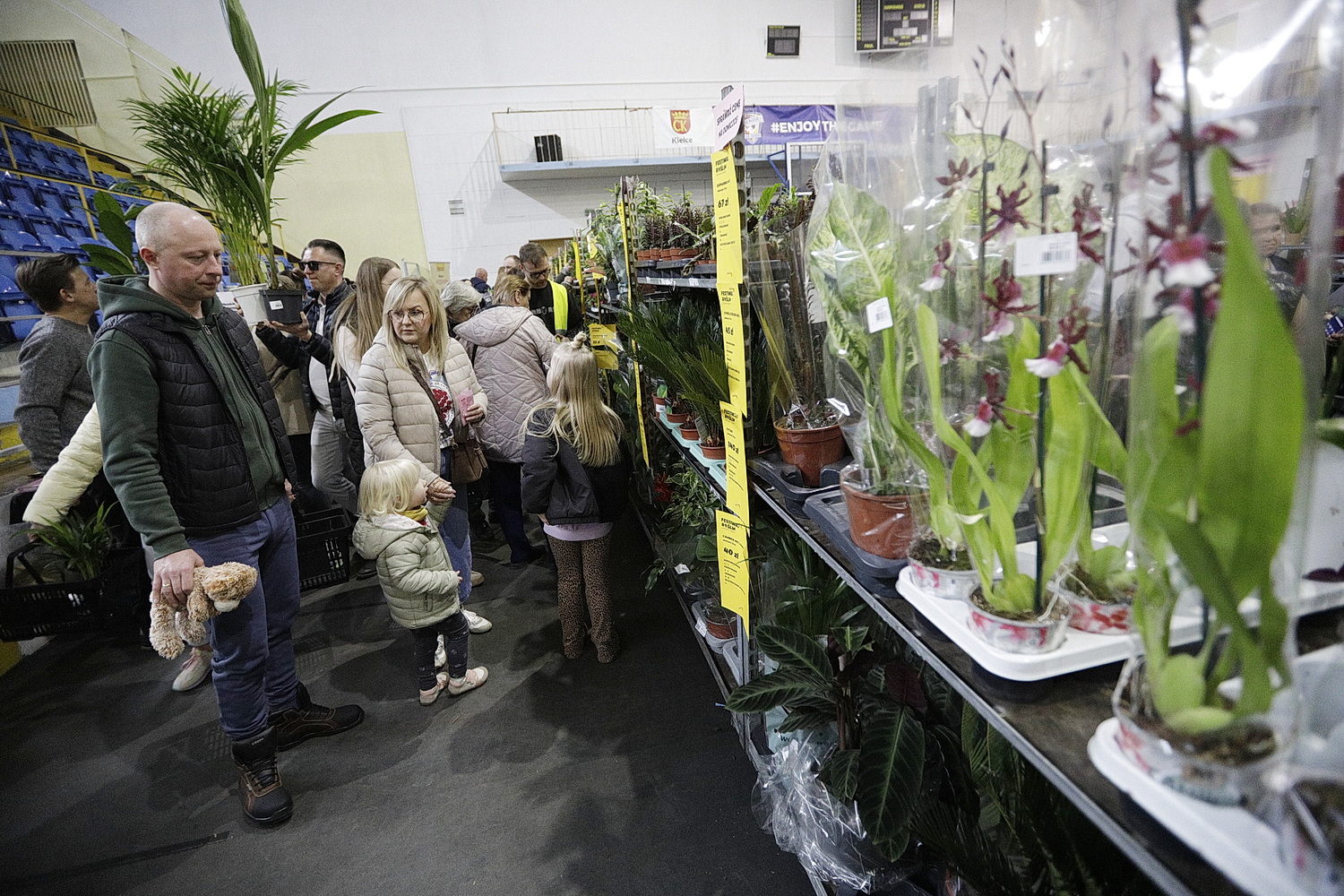 Festiwal roślin ponownie zawitał do Kielc