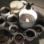 Powłoki i pancerze pokazują, że projektowanie zaczyna się od eksperymentu - Radio Kielce