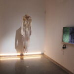 Powłoki i pancerze pokazują, że projektowanie zaczyna się od eksperymentu - Radio Kielce