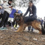 Pobiegli dla psów, kotów i gryzoni - Radio Kielce Pobiegli dla psów, kotów i gryzoni