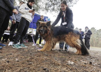 Pobiegli dla psów, kotów i gryzoni