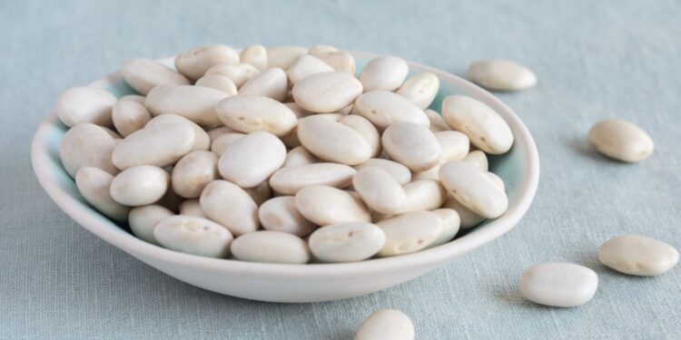 Fasola / Źródło: Canva