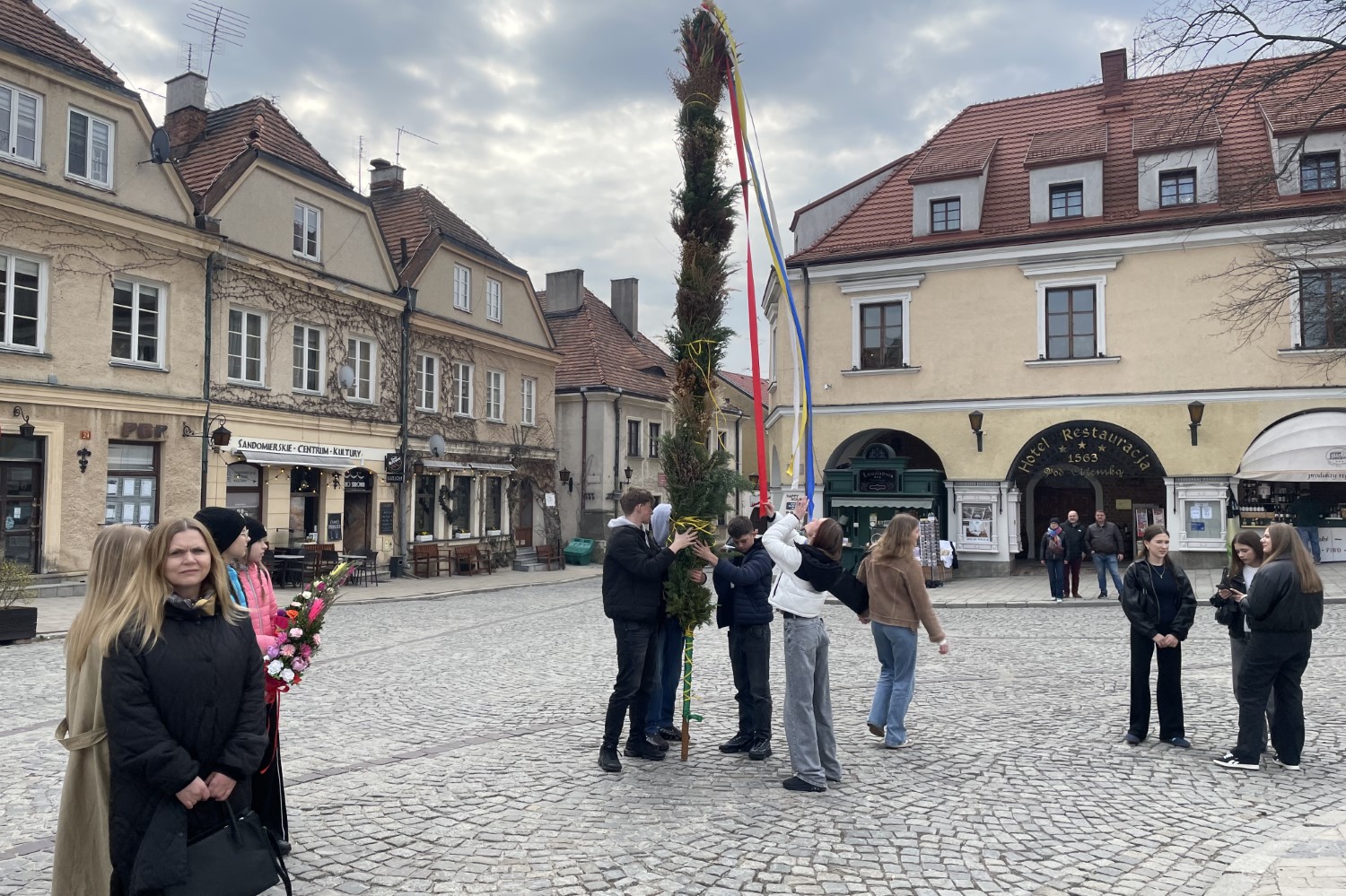 Siedmiometrowa palma na sandomierskiej starówce