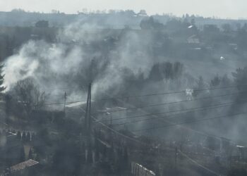Kazimierza Wielka. Ogródki działkowe / Fot. Marta Gajda-Kruk - Radio Kielce