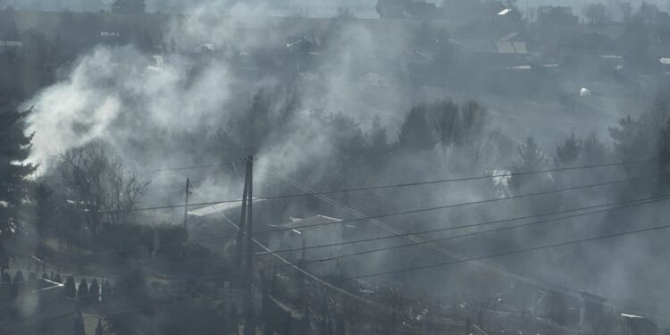 Kazimierza Wielka. Ogródki działkowe / Fot. Marta Gajda-Kruk - Radio Kielce