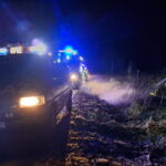 Groźne pożary traw w regionie. Dziesiątki razy wyły strażackie syreny - Radio Kielce Groźne pożary traw w regionie. Dziesiątki razy wyły strażackie syreny - Radio Kielce