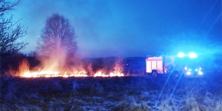 Groźne pożary traw w regionie. Dziesiątki razy wyły strażackie syreny - Radio Kielce Groźne pożary traw w regionie. Dziesiątki razy wyły strażackie syreny