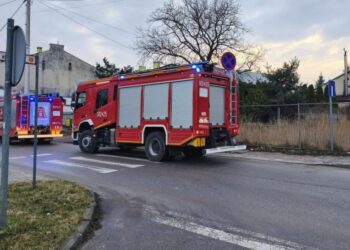 Ogień w domu jednorodzinnym. Spaliła się część wyposażenia