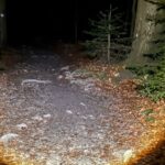 Uczestnicy Ekstremalnej Drogi Krzyżowej dotarli do celu / Fot. Łukasz Skórski