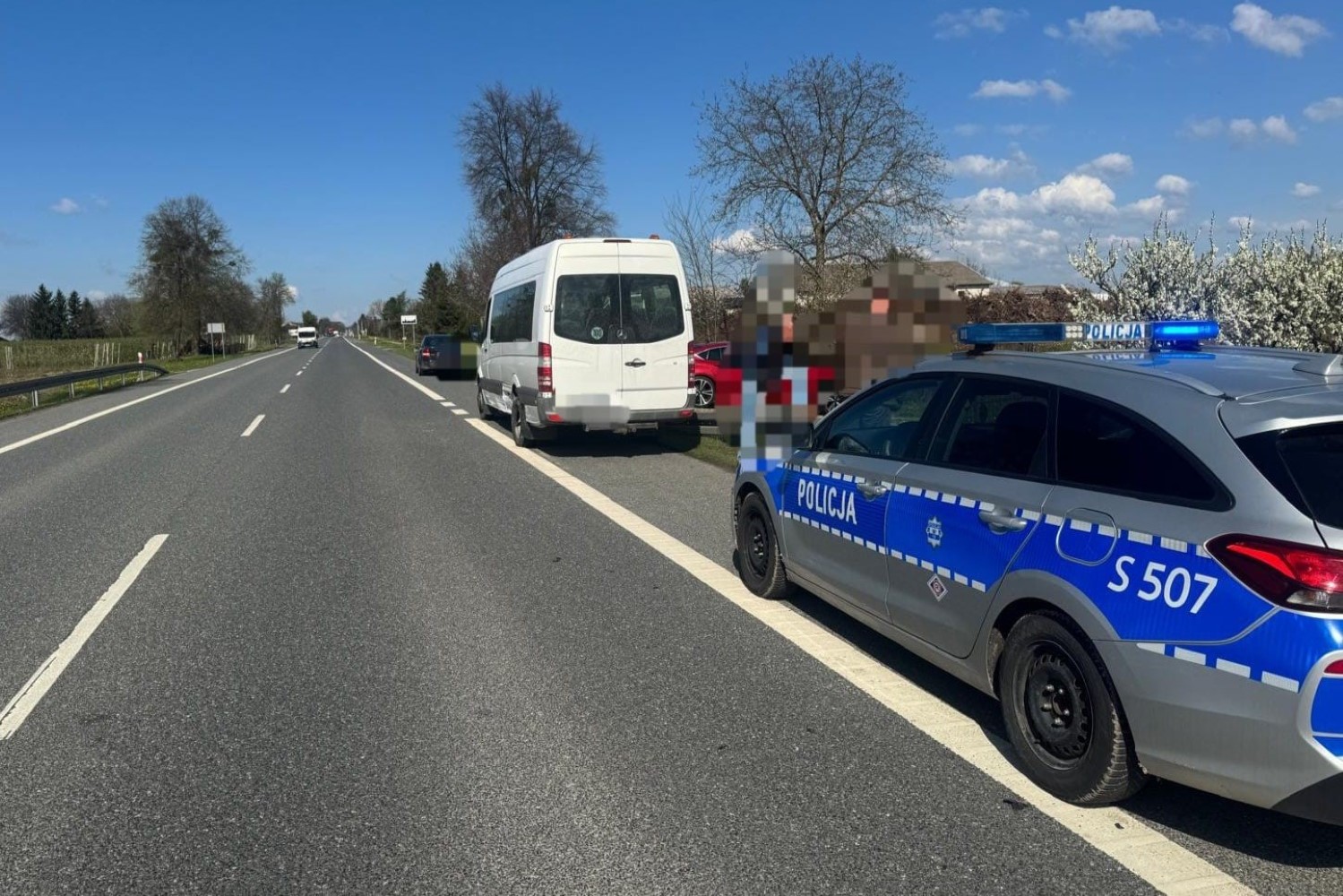 Pies przyczyną czołowego zderzenia pojazdów