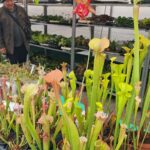 Fot. Marzena Smoręda