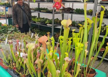 Fot. Marzena Smoręda