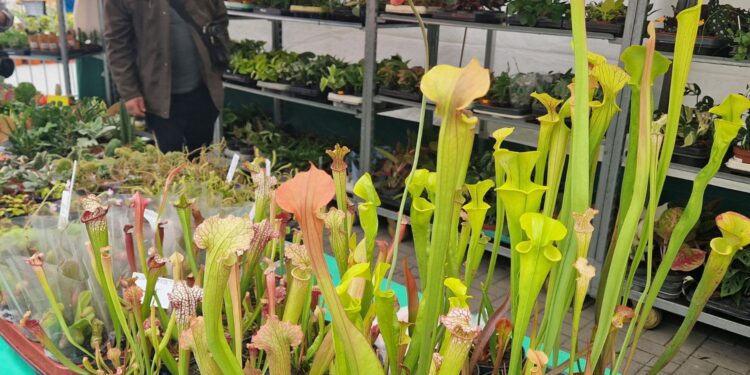 Fot. Marzena Smoręda