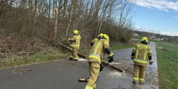 06.04.2026. Jankowice. Interwencja strażaków po silnym wietrze / Źródło: OSP Sobótka