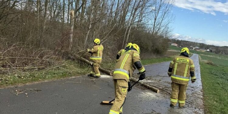 06.04.2026. Jankowice. Interwencja strażaków po silnym wietrze / Źródło: OSP Sobótka
