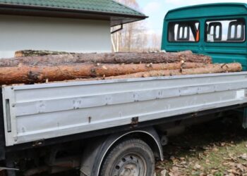 Kradzione drewno i narkotyki w gminie Stąporków