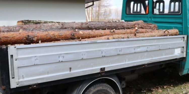 Kradzione drewno i narkotyki w gminie Stąporków