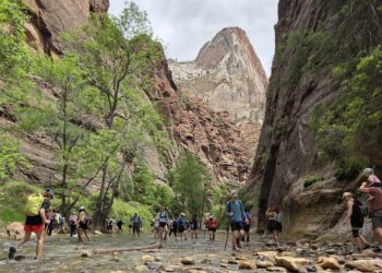Muzyczne podróże przez świat. Dzika natura USA. Cz.3