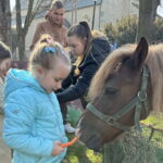 Unikalna Zagroda Zajączka Wielkanocnego - Radio Kielce