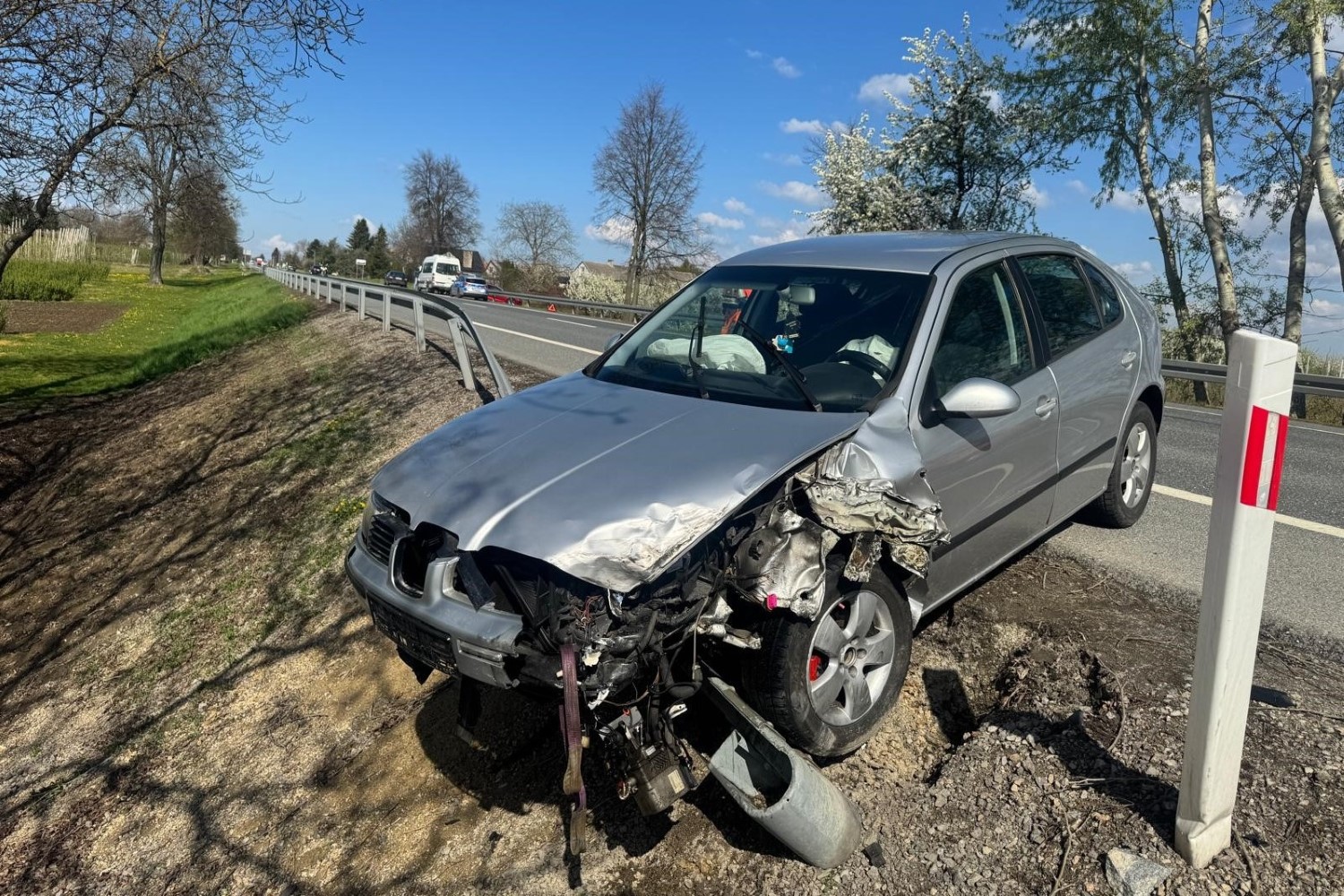Pies przyczyną czołowego zderzenia pojazdów
