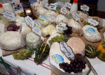 Ser serowi nierówny