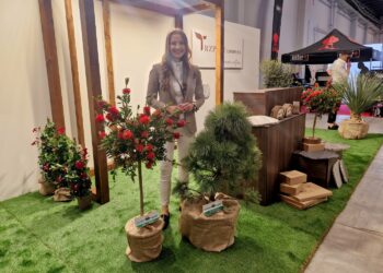 Estetyczny i funkcjonalny czy w babcinym stylu?