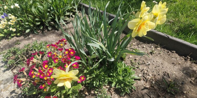 Z ekologią na ty na działkach