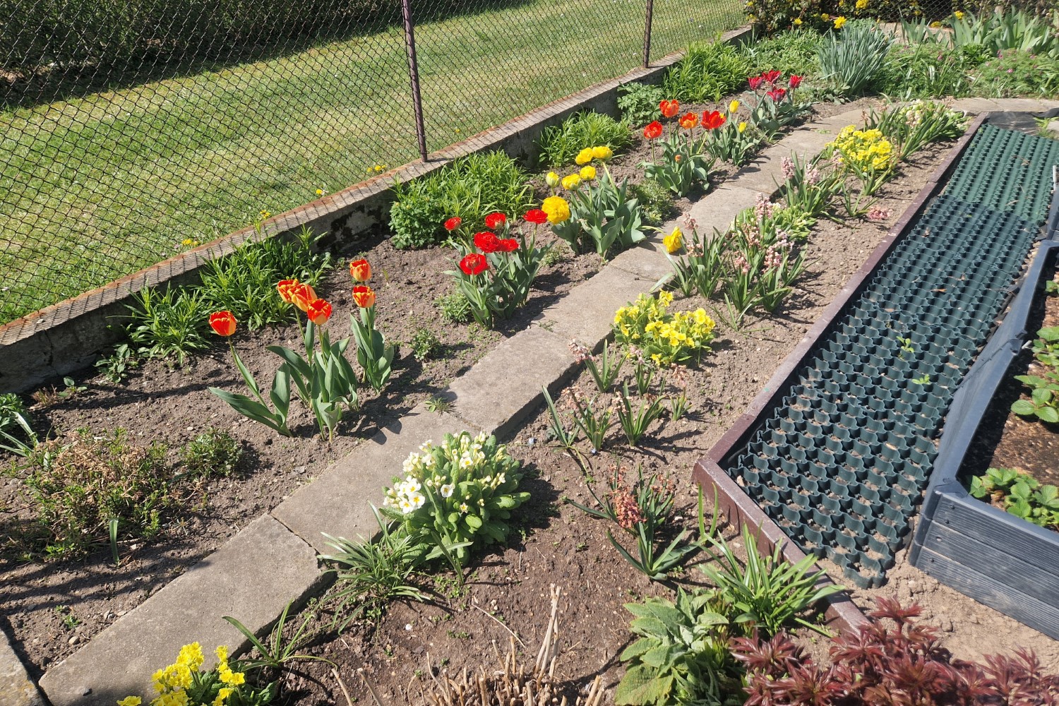 Z ekologią na ty na działkach