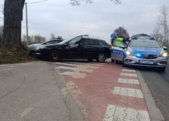 Uciekał przed policją. Grozi mu więzienie - Radio Kielce 15.04.2026. Sichów Mały, w gminie Rytwiany. Kierowca uciekający przed policją uderzył w drzewo/ Fot. policja