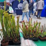 Fot. Marzena Smoręda