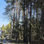 06.04.2026. Zagnańsk. Interwencja strażaków po silnym wietrze / Źródło: OSP Zagnańsk-Chrusty